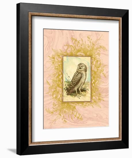 Vintage Owl-null-Framed Premium Giclee Print