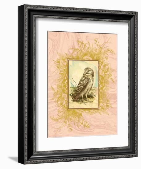 Vintage Owl-null-Framed Premium Giclee Print