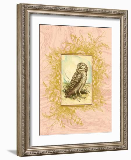 Vintage Owl-null-Framed Art Print