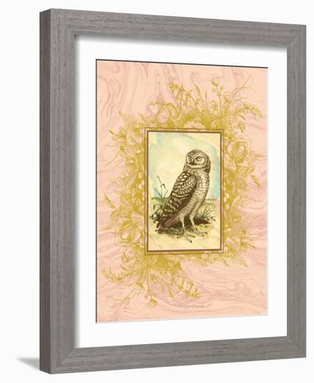 Vintage Owl-null-Framed Art Print