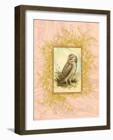 Vintage Owl-null-Framed Art Print