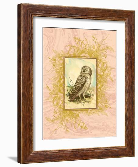 Vintage Owl-null-Framed Art Print