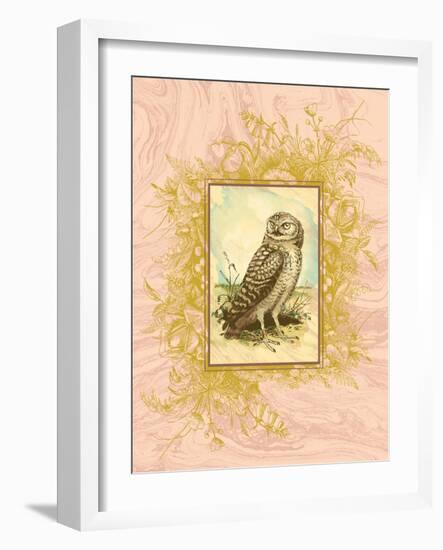 Vintage Owl-null-Framed Art Print