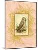 Vintage Owl-null-Mounted Art Print