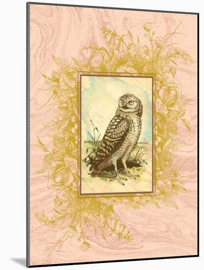 Vintage Owl-null-Mounted Art Print