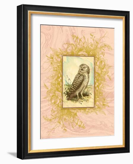 Vintage Owl-null-Framed Art Print