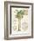 Vintage Palm Study I-Hugo Wild-Framed Art Print