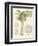 Vintage Palm Study I-Hugo Wild-Framed Art Print