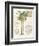 Vintage Palm Study I-Hugo Wild-Framed Art Print