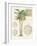 Vintage Palm Study I-Hugo Wild-Framed Art Print