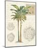 Vintage Palm Study I-Hugo Wild-Mounted Art Print