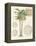 Vintage Palm Study I-Hugo Wild-Framed Stretched Canvas