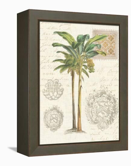 Vintage Palm Study I-Hugo Wild-Framed Stretched Canvas