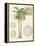 Vintage Palm Study I-Hugo Wild-Framed Stretched Canvas