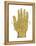 Vintage Palmistry-Oliver Jeffries-Framed Stretched Canvas