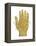 Vintage Palmistry-Oliver Jeffries-Framed Stretched Canvas