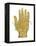 Vintage Palmistry-Oliver Jeffries-Framed Stretched Canvas
