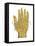 Vintage Palmistry-Oliver Jeffries-Framed Stretched Canvas