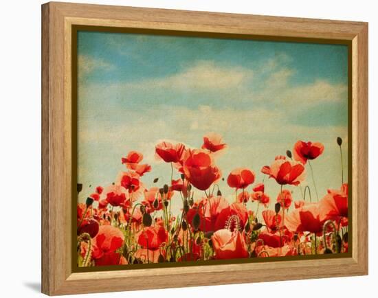 Vintage Paper Textures - Field of Poppies-A_nella-Framed Stretched Canvas
