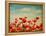 Vintage Paper Textures - Field of Poppies-A_nella-Framed Stretched Canvas