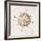 Vintage Paper With Compass Rose-vso-Framed Art Print