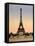 Vintage Paris IX-N. Harbick-Framed Stretched Canvas