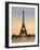 Vintage Paris IX-N. Harbick-Framed Art Print