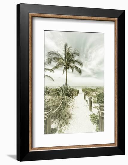 Vintage Path to the Beach-Melanie Viola-Framed Photographic Print