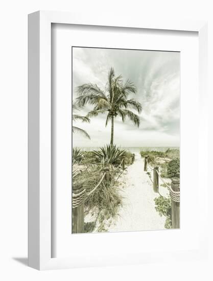 Vintage Path to the Beach-Melanie Viola-Framed Photographic Print