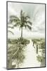 Vintage Path to the Beach-Melanie Viola-Mounted Photographic Print