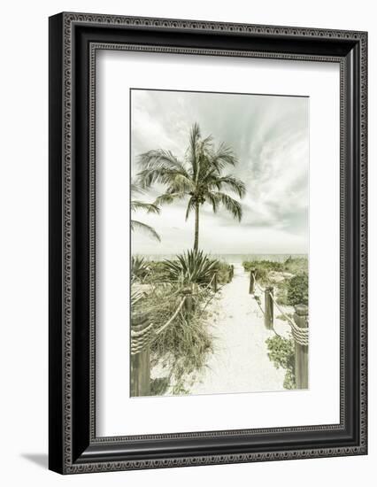 Vintage Path to the Beach-Melanie Viola-Framed Photographic Print