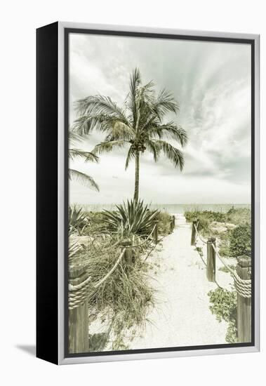 Vintage Path to the Beach-Melanie Viola-Framed Premier Image Canvas