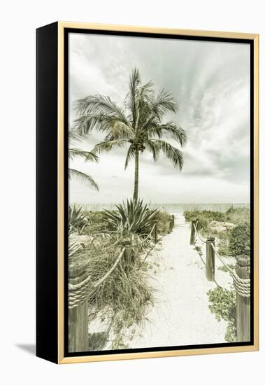 Vintage Path to the Beach-Melanie Viola-Framed Premier Image Canvas