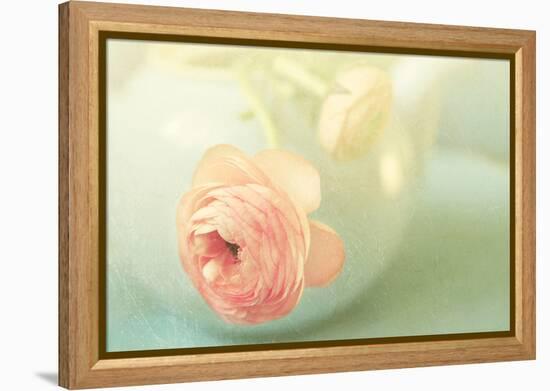 Vintage Peony II-Sarah Gardner-Framed Premier Image Canvas