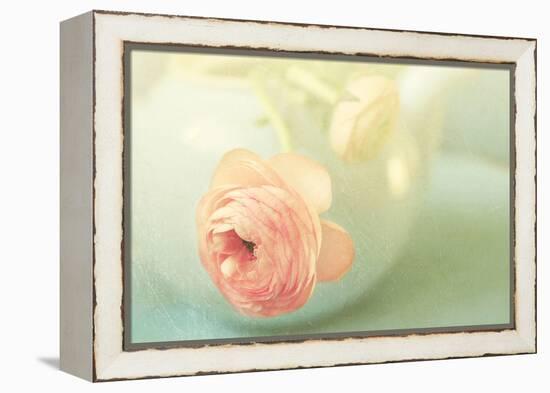 Vintage Peony II-Sarah Gardner-Framed Premier Image Canvas