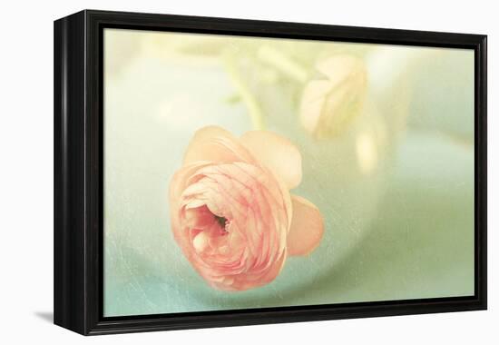 Vintage Peony II-Sarah Gardner-Framed Premier Image Canvas