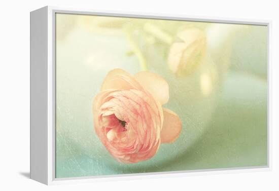 Vintage Peony II-Sarah Gardner-Framed Premier Image Canvas