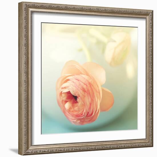 Vintage Peony II-Sarah Gardner-Framed Photographic Print