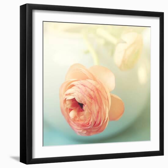 Vintage Peony II-Sarah Gardner-Framed Photographic Print