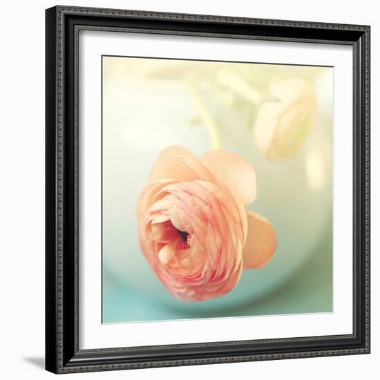 Vintage Peony II-Sarah Gardner-Framed Photographic Print