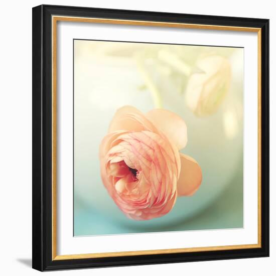 Vintage Peony II-Sarah Gardner-Framed Photographic Print