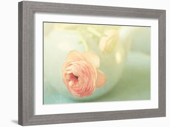 Vintage Peony II-Sarah Gardner-Framed Photographic Print