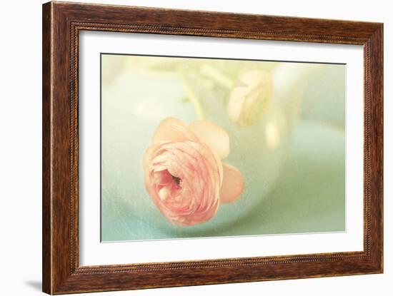 Vintage Peony II-Sarah Gardner-Framed Photographic Print