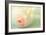 Vintage Peony II-Sarah Gardner-Framed Photographic Print