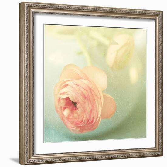 Vintage Peony II-Sarah Gardner-Framed Photographic Print