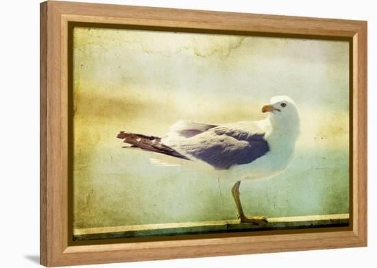 Vintage Photo Of A Seagull-Artistic Retro Styled Picture-melis-Framed Premier Image Canvas