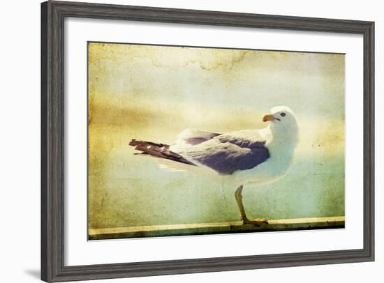 Vintage Photo Of A Seagull-Artistic Retro Styled Picture-melis-Framed Photographic Print