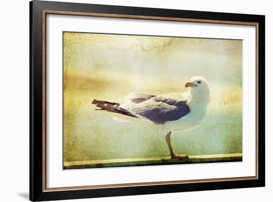 Vintage Photo Of A Seagull-Artistic Retro Styled Picture-melis-Framed Photographic Print