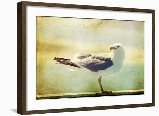 Vintage Photo Of A Seagull-Artistic Retro Styled Picture-melis-Framed Photographic Print