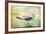 Vintage Photo Of A Seagull-Artistic Retro Styled Picture-melis-Framed Photographic Print